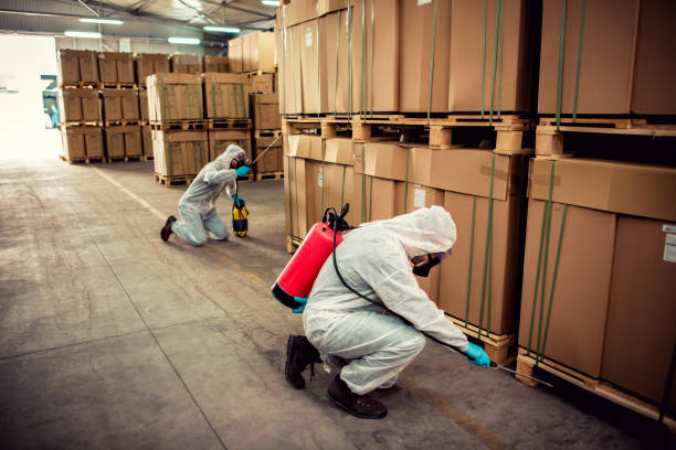 Best Ant Control Services  in Yorketown, NJ