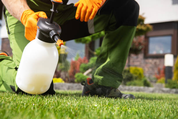 Best Pest Removal Services  in Yorketown, NJ