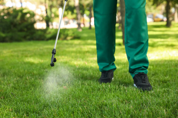 Best Affordable Pest Control Services  in Yorketown, NJ