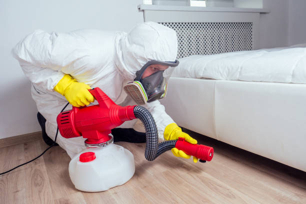 Best Termite Control Services  in Yorketown, NJ