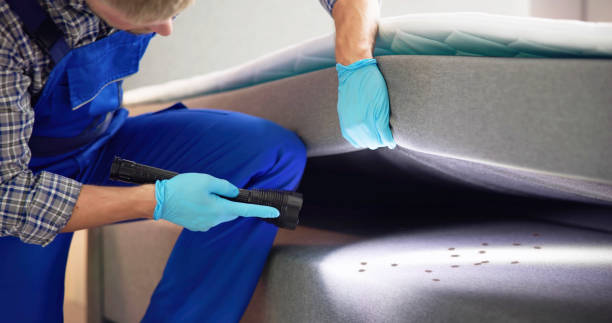 Best Local Pest Control Services  in Yorketown, NJ