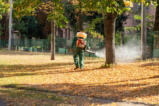 Best Affordable Pest Control Services  in Yorketown, NJ
