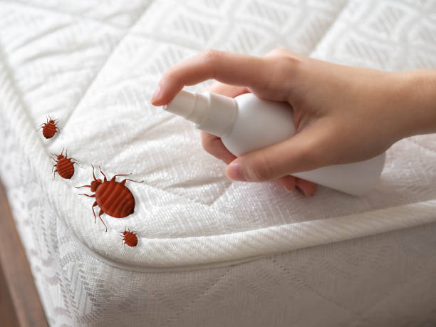 Pest Control Cost in Yorketown, NJ