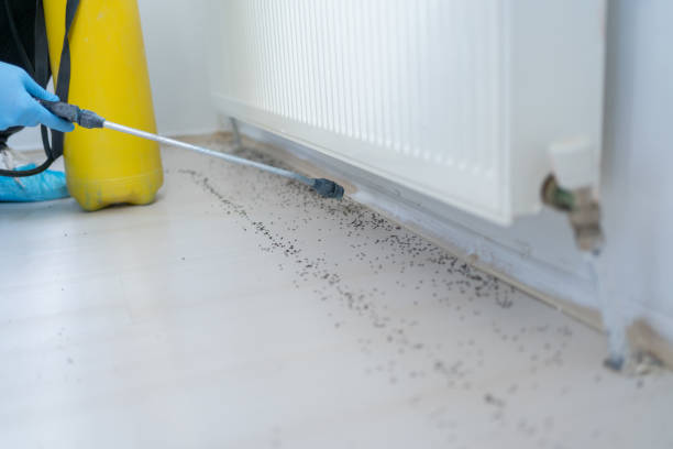 Best Emergency Pest Control  in Yorketown, NJ