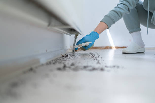 Best Cockroach Control Services  in Yorketown, NJ